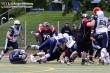 Thumbs/tn_IMG_8694.jpg