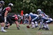 Thumbs/tn_IMG_8709.jpg