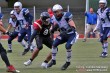Thumbs/tn_IMG_8774.jpg