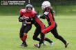 Thumbs/tn_AFVD_0008.jpg