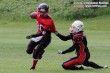Thumbs/tn_AFVD_0012.jpg
