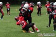 Thumbs/tn_AFVD_0015.jpg