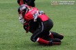 Thumbs/tn_AFVD_0016.jpg