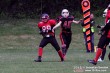 Thumbs/tn_AFVD_0017.jpg