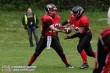 Thumbs/tn_AFVD_0018.jpg