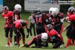 Thumbs/tn_AFVD_0022.jpg