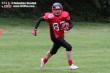 Thumbs/tn_AFVD_0026.jpg