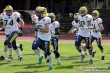 Thumbs/tn_GFL_0043.jpg