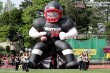 Thumbs/tn_GFL_0044.jpg