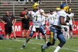 Thumbs/tn_GFL_0049.jpg