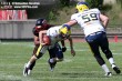 Thumbs/tn_GFL_0051.jpg
