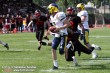 Thumbs/tn_GFL_0052.jpg