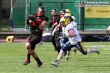 Thumbs/tn_GFL_0063.jpg