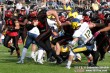 Thumbs/tn_GFL_0068.jpg