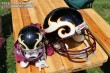 Thumbs/tn_IMG_9655.jpg