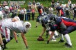 Thumbs/tn_AFVD_0016.jpg