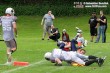 Thumbs/tn_AFVD_0019.jpg