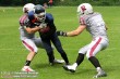 Thumbs/tn_AFVD_0023.jpg