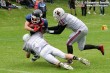Thumbs/tn_AFVD_0024.jpg