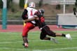 Thumbs/tn_GFL_0016.jpg