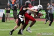 Thumbs/tn_GFL_0029.jpg