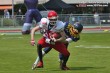Thumbs/tn_IMG_1786.jpg