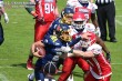 Thumbs/tn_IMG_1931.jpg