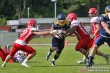 Thumbs/tn_IMG_2355.jpg