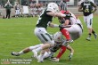 Thumbs/tn_GFL_0005.jpg