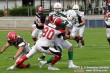 Thumbs/tn_GFL_0012.jpg