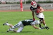 Thumbs/tn_GFL_0023.jpg