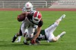 Thumbs/tn_GFL_0024.jpg