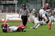 Thumbs/tn_GFL_0027.jpg
