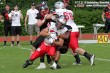 Thumbs/tn_GFL_0025.jpg