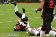 Thumbs/tn_GFL_0030.jpg