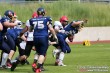 Thumbs/tn_IMG_3024.jpg