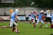 Thumbs/tn_IMG_4384.jpg