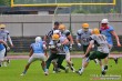 Thumbs/tn_IMG_4706.jpg