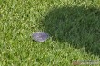Thumbs/tn_IMG_5039.jpg