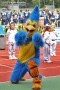 Thumbs/tn_IMG_5319.jpg