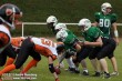 Thumbs/tn_IMG_5855.jpg