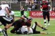 Thumbs/tn_GFL_0019.jpg