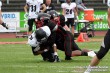 Thumbs/tn_GFL_0023.jpg