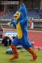 Thumbs/tn_IMG_6600.jpg