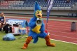 Thumbs/tn_IMG_6603.jpg