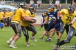 Thumbs/tn_IMG_6798.jpg