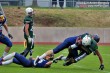 Thumbs/tn_IMG_7742.jpg
