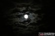 Thumbs/tn_IMG_8627.jpg