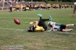 Thumbs/tn_IMG_9972.jpg