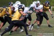 Thumbs/tn_JMG_0067.jpg